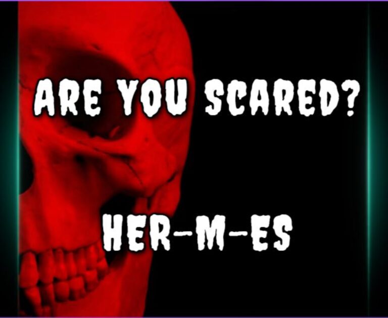 Are You Scared? HER-M-ES